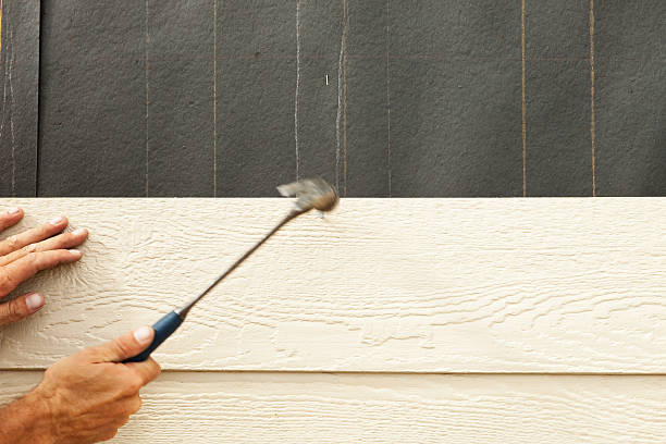 Best Insulated Siding Installation  in Edison, GA